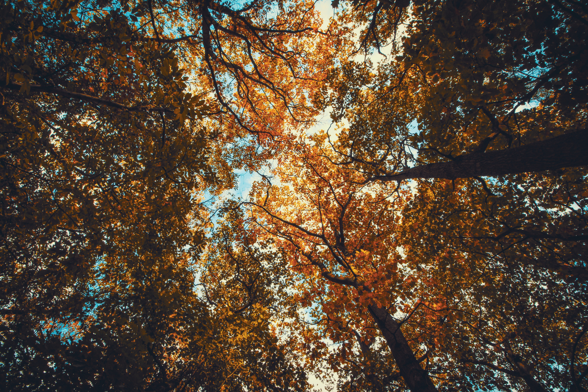 Autumn Medication Check-Up: 7 Things to Review as the Seasons Change